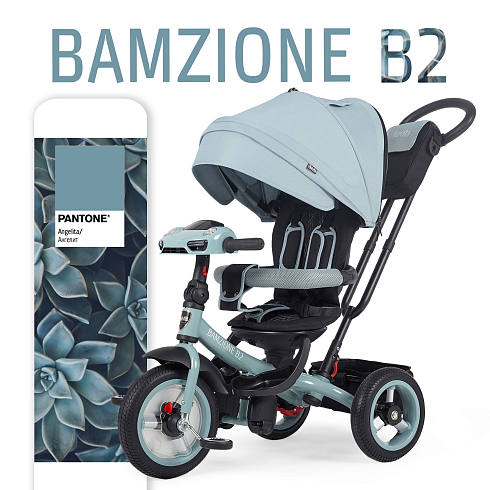 Трехколесный велосипед Nuovita Bamzione B2